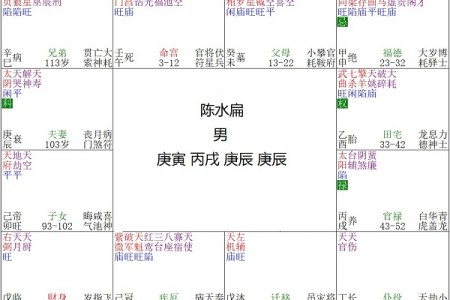 紫微斗数命盘解析:陈水扁