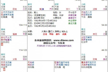 紫微斗数分析:天同天梁坐命的一个盘