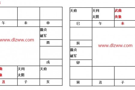 武曲贪狼在丑未入命(旧版)