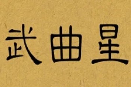 武曲化禄:财星喜偏印,反辱为荣!太阳化忌:官星遇枭神,多成多败!