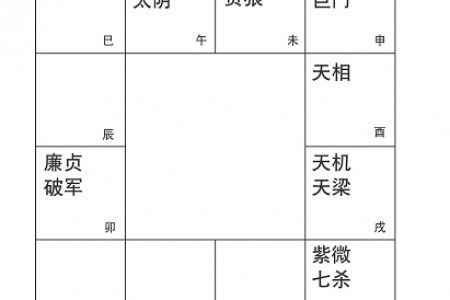 命无正曜,借太阳巨门安星