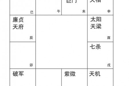 命无正曜，借太阳天梁安星