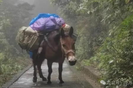 迁移宫取象:文明出行、在外飙车、鸿门宴