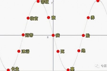 教你快速理解【长生十二神】