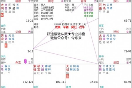 天府坐命:走巨门的大运,好还是不好?如何判断?