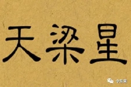 天梁星:与渡劫有关,流年遇到,有可能噶了