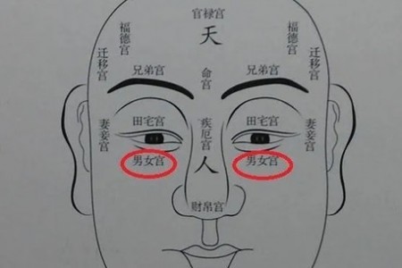 紫微斗数子女宫:快速判断法